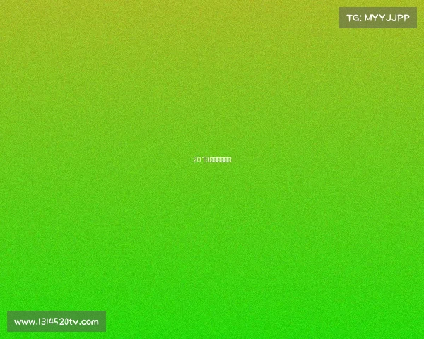 2019年世界赛八强